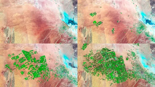 Vier Satellitenbilder der NASA von derselben Wüste im Norden Saudi-Arabiens, 1987, 1991, 2000 und 2012: grüne kreisförmige Felder breiten sich aus, bis sie den größten Teil bedecken
